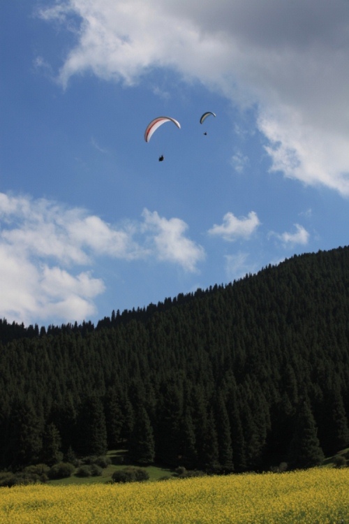 29 (683x1024).jpg