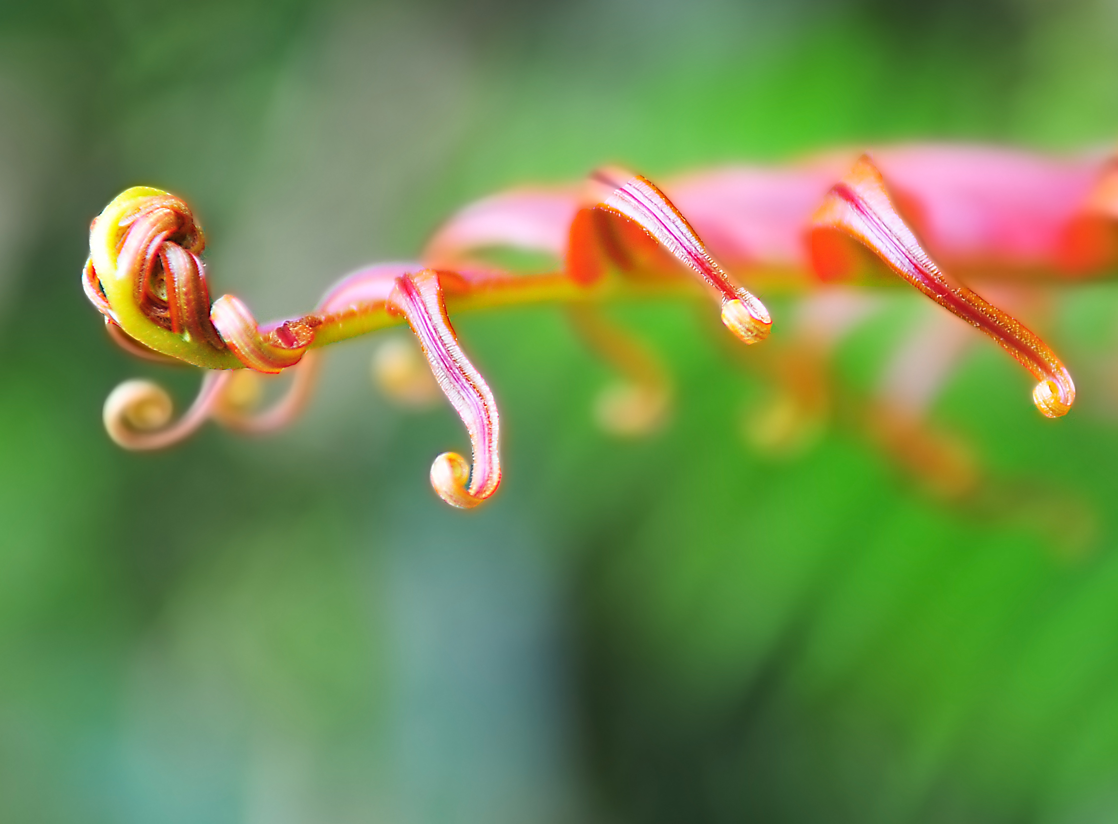 DSC_1559.JPG