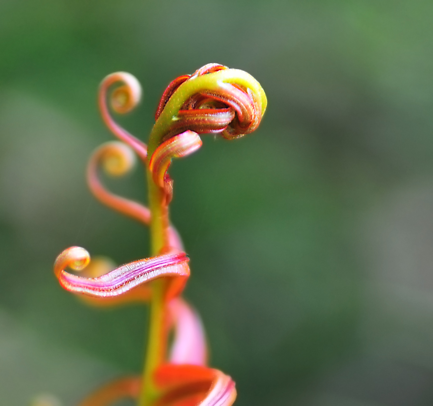 DSC_1557.JPG