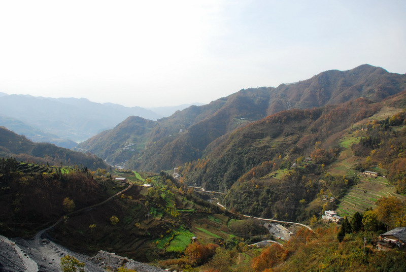 DSC_0109.jpg