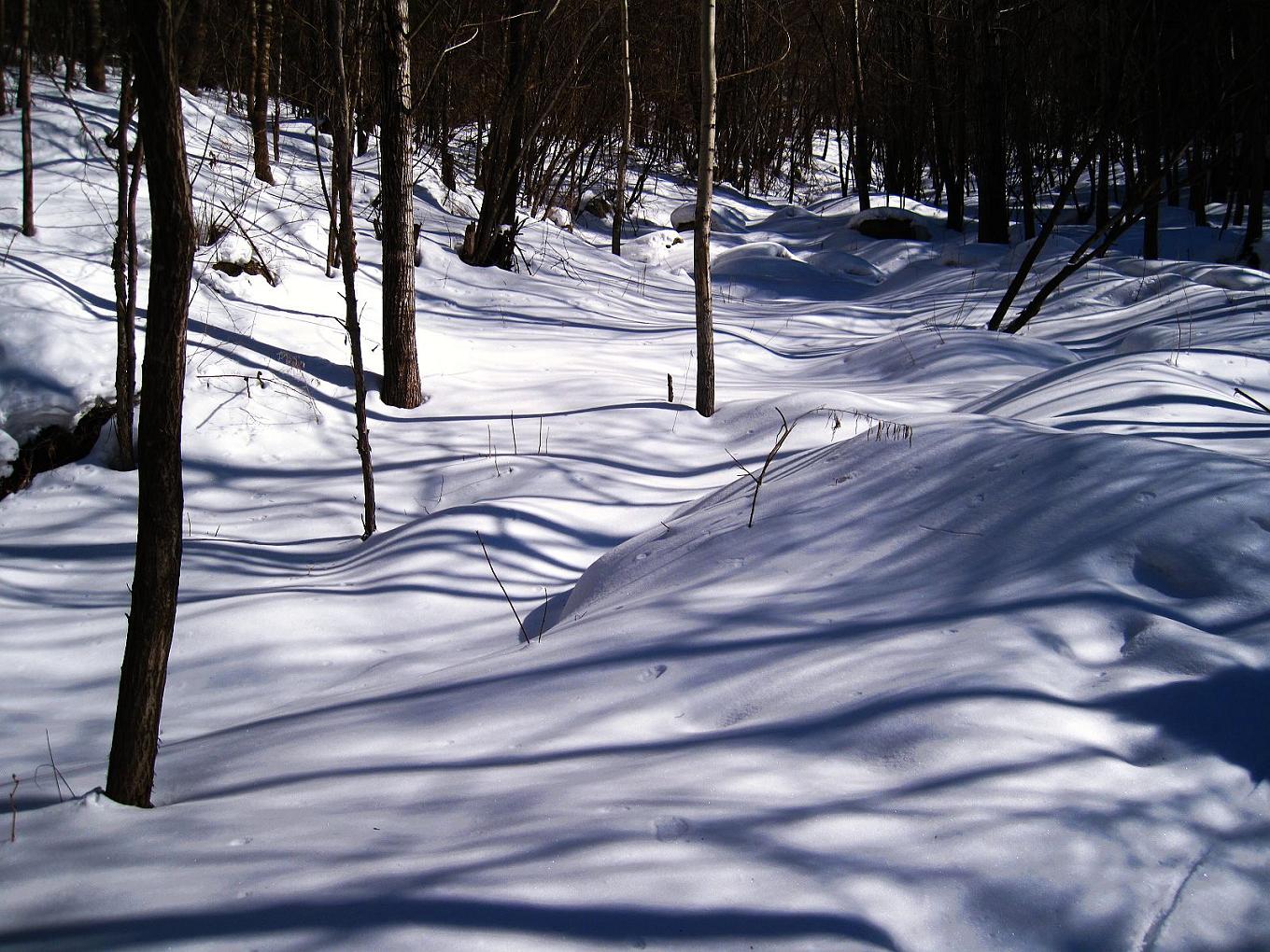 IMG_5895.JPG