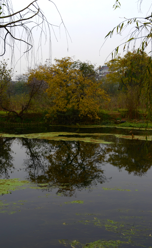DSC_4139.JPG
