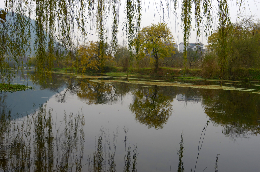 DSC_4144.JPG
