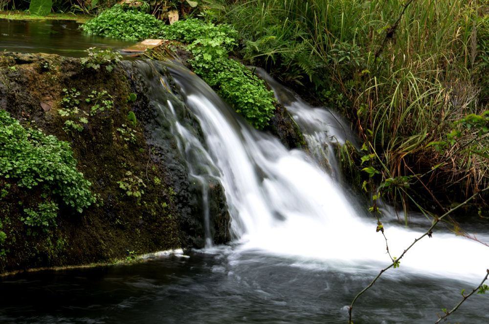 DSC_4244.JPG