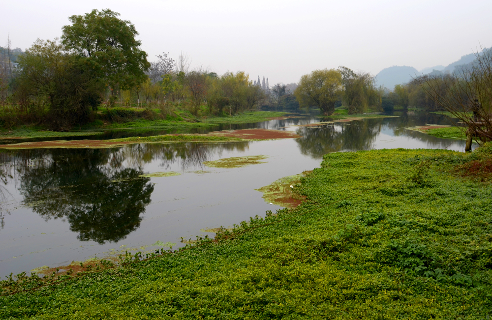 DSC_4156.JPG