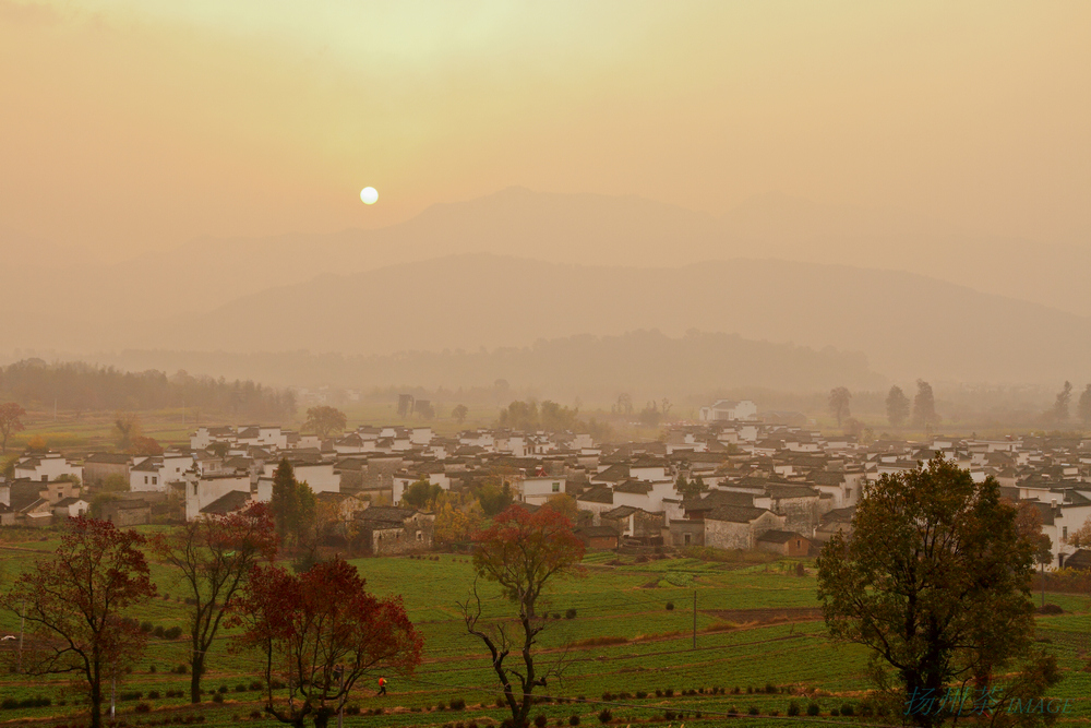DPP_0181.jpg