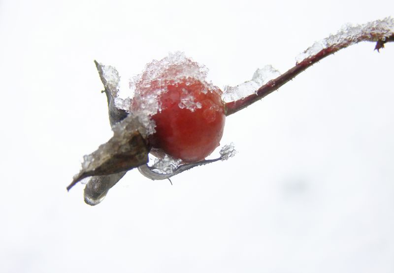 DSCF7674.jpg