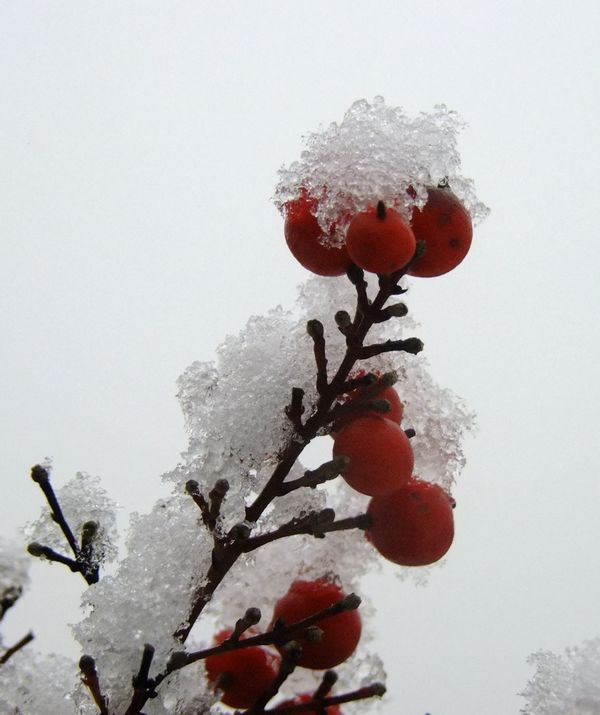 DSCF7649.jpg