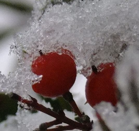DSCF7644.jpg