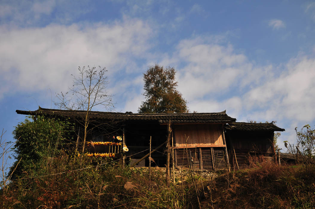DSC_105.jpg