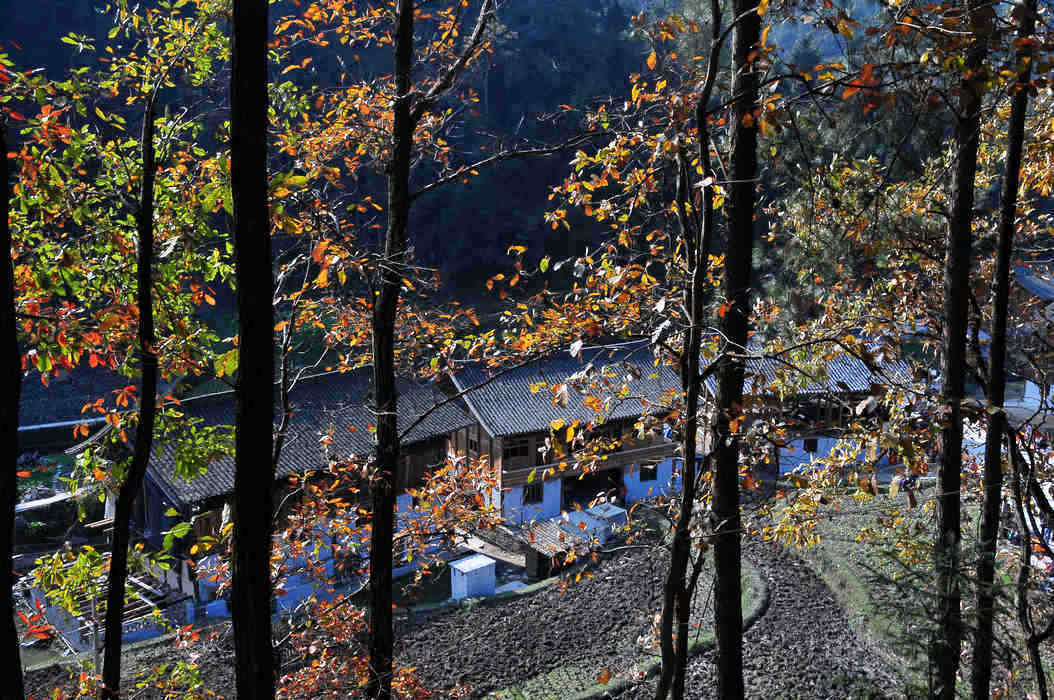 DSC_700.jpg