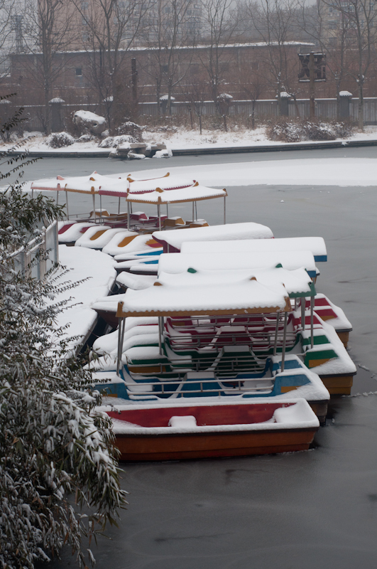 DSC_0044.jpg