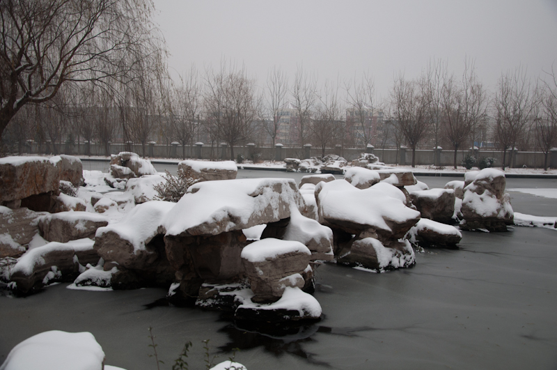 DSC_0024.jpg