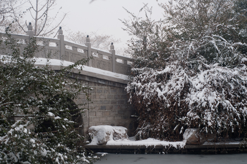 DSC_0040.jpg