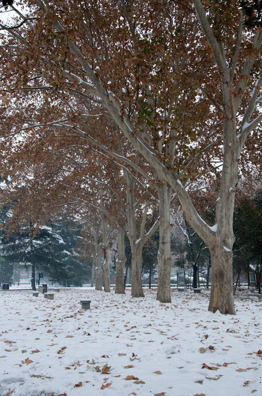 DSC_0104.jpg