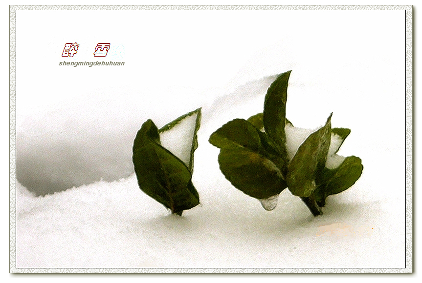 P1100351-.jpg