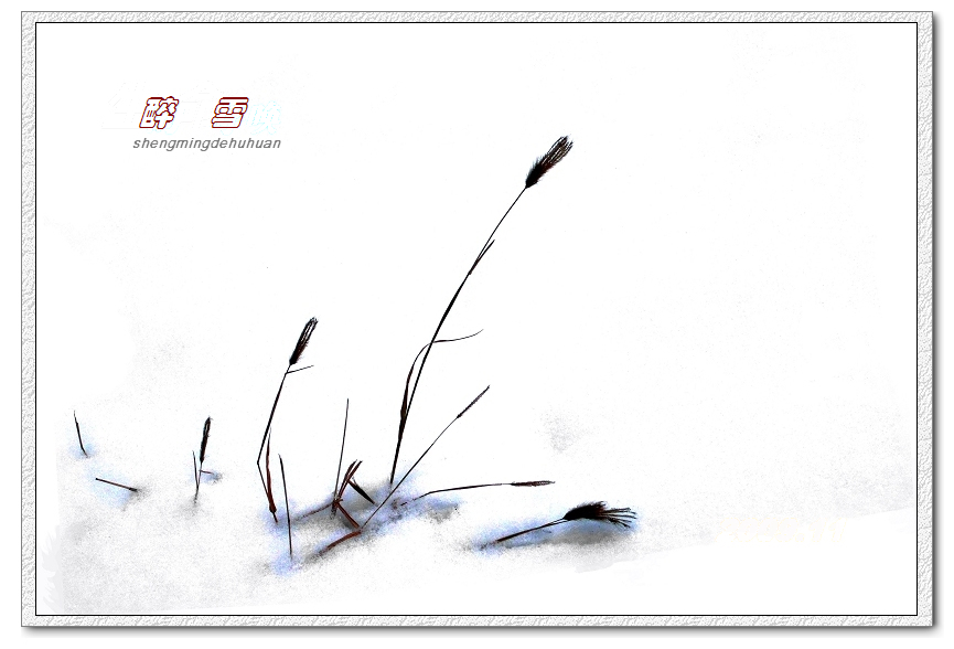 P1100510-.jpg