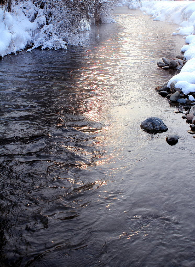 DPP_0042.jpg