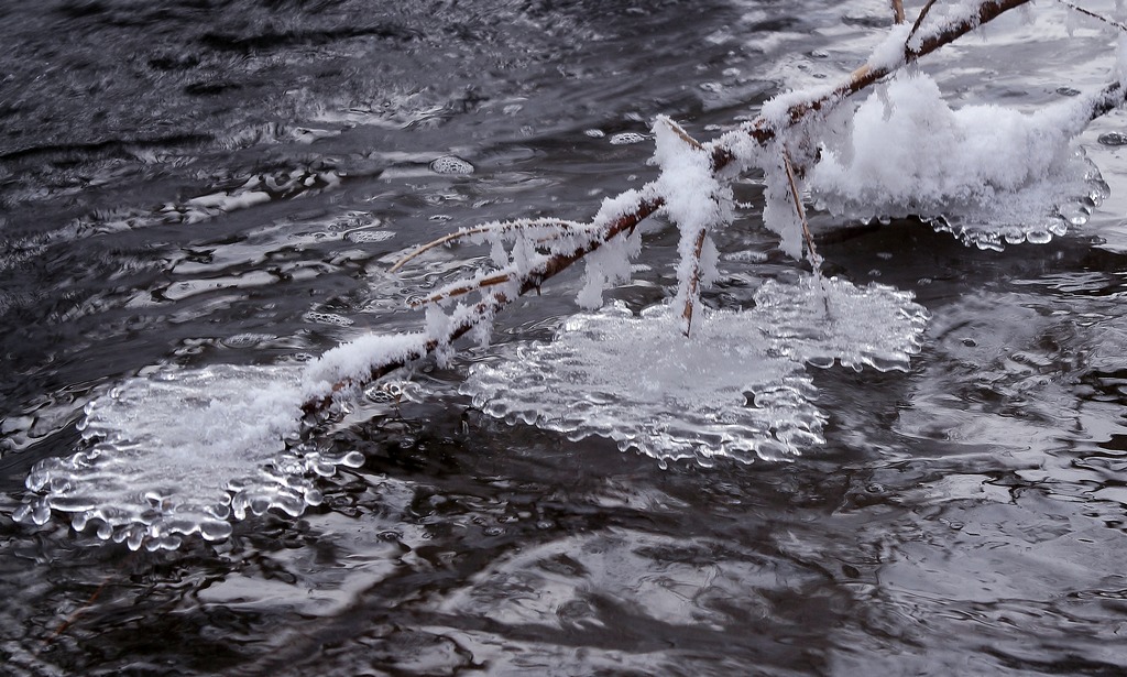 DPP_0029.jpg
