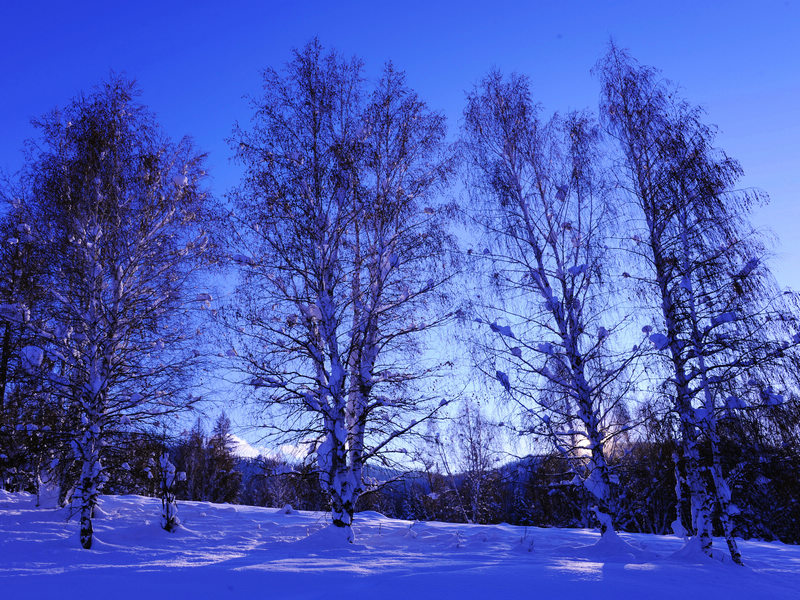 DSC_9476.jpg