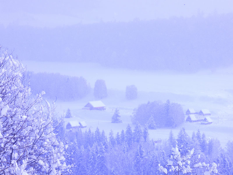 DSC_9086.jpg