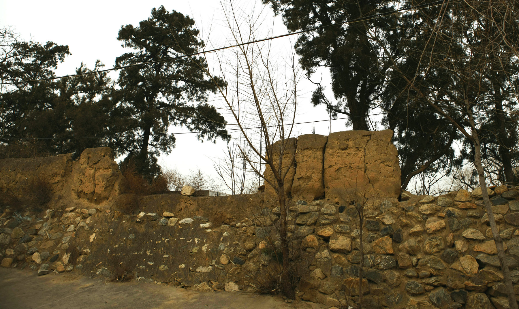 _C9J2754.jpg