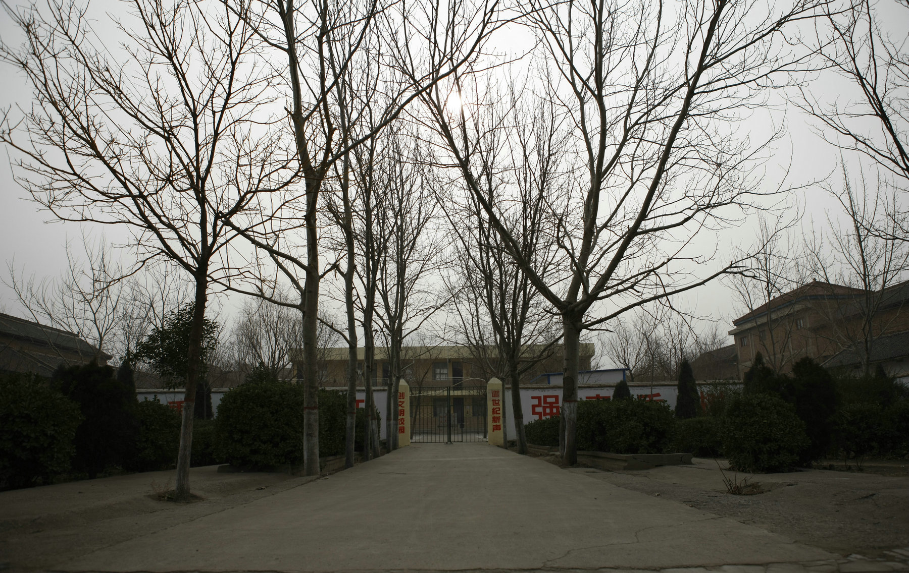 _C9J2743.jpg
