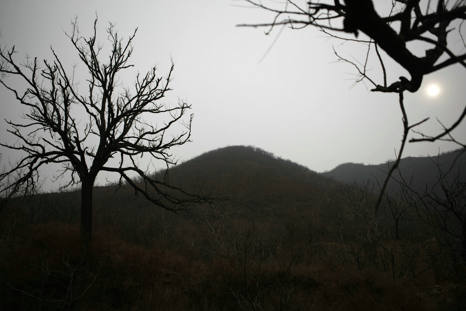 _C9J2866.jpg