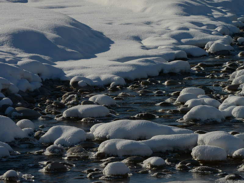 DSC_7944.jpg