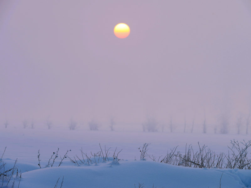 DSC_7799.jpg