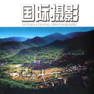 2011-3