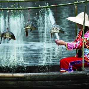㱳йŻMARTIN_Jacky-Back-From-Fishing_(China)