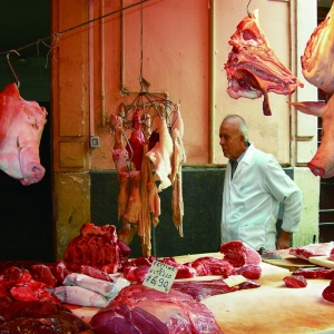 ֮⡷ީqɣʱBetween the Meat