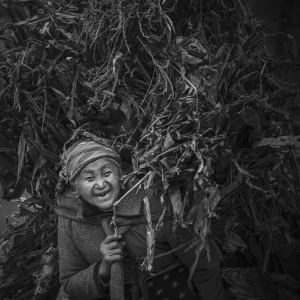 3 IPA铜奖《母亲的肩膀》邱太建（中国）