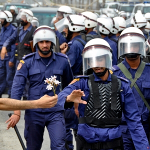3 UPIͭAbdulrasool Ammar֣Flowers Revolution