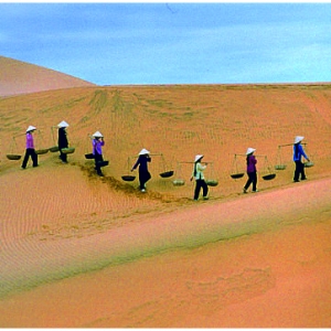 Įɳɣãã֪ 1991꣬Խв