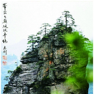 ۣ֮ͦ׿ 1997꣬żҽ