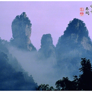 ɽתԴ䣬Ʒ 1994꣬żҽ
