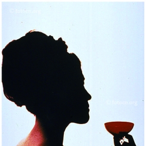 챭 1965꣬