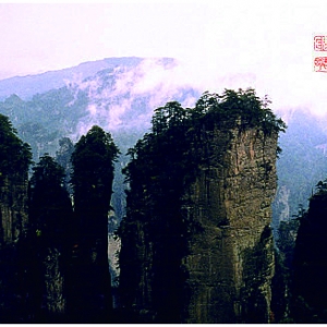 Ũǰɽӵ 1997꣬żҽ