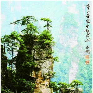 ɽȤȻ 1994꣬żҽ